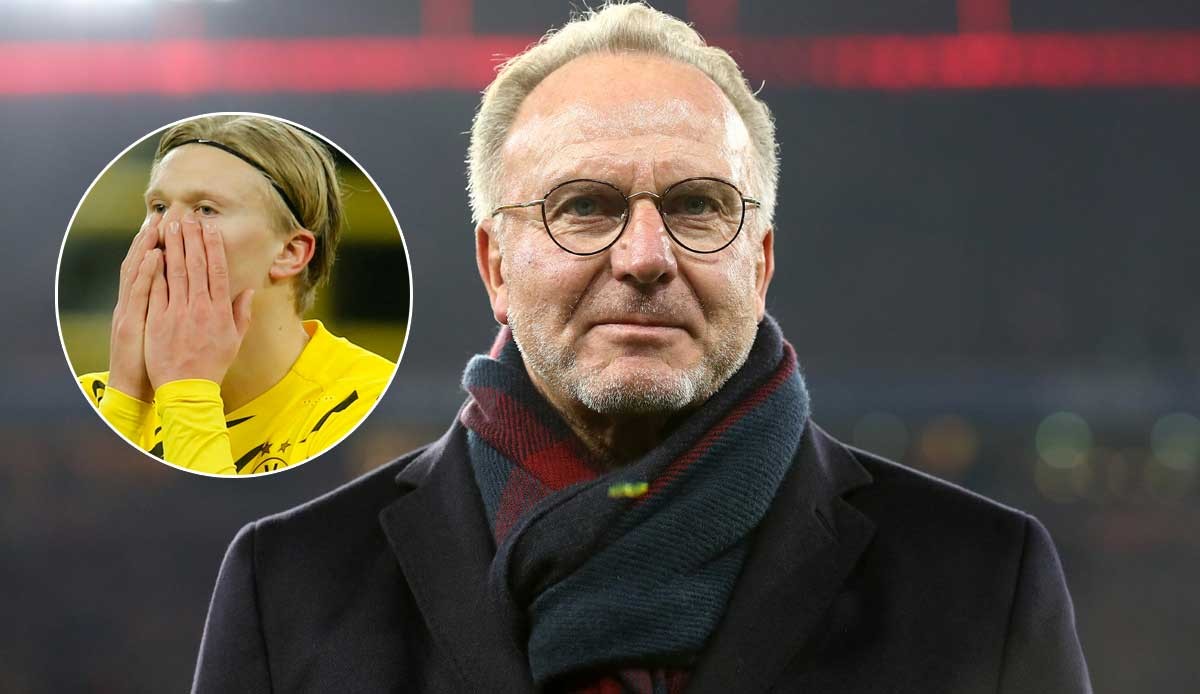 simulation-efficiency-curves